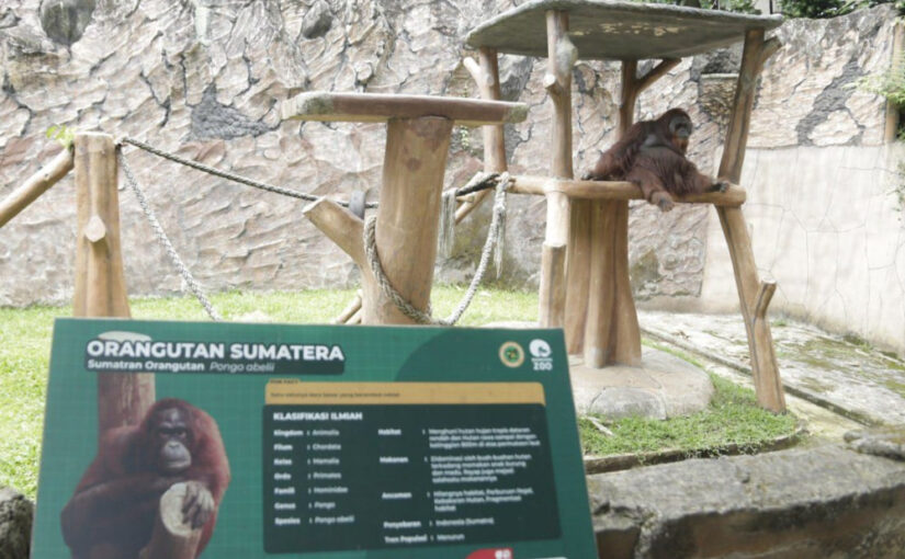 Kebun Binatang Bandung tutup pada libur Lebaran 2026